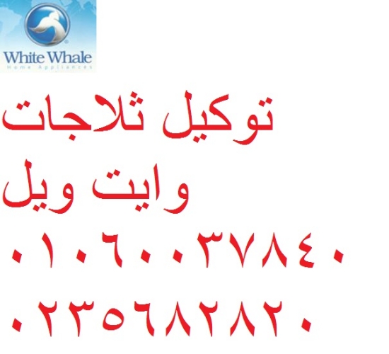 صيانة ثلاجات وايت ويل مدينة نصر 01093055835