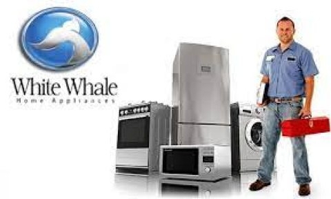 فرع ثلاجات وايت ويل بالقليوبية 01095999314