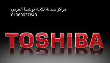 فروع صيانة ديب فريزر توشيبا الهرم  01095999314