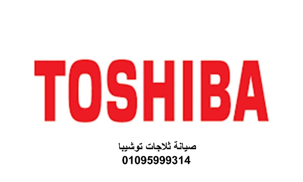 شركة صيانة ديب فريزر توشيبا القطامية 01095999314
