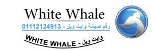 صيانة ديب فريزر وايت ويل اشمون ‎‎ 01283377353